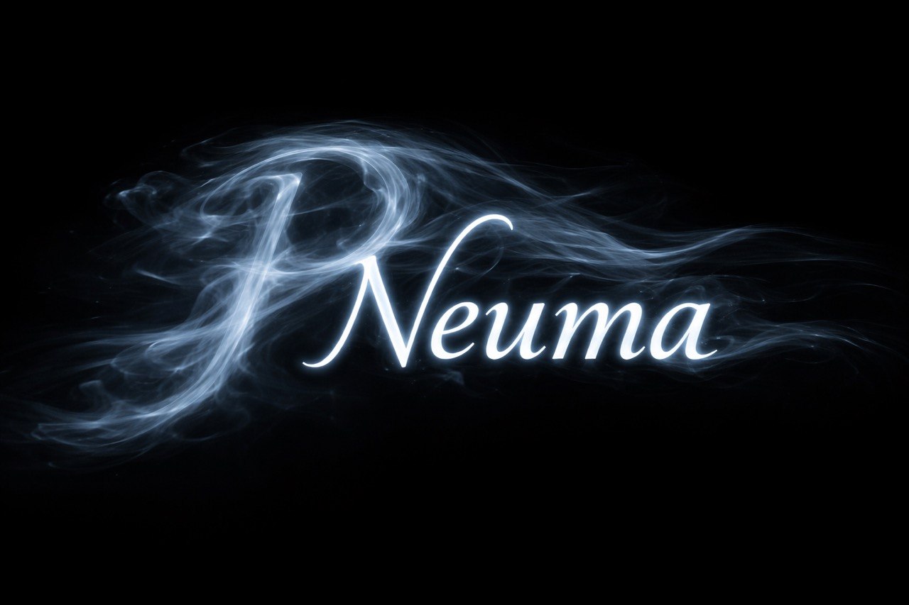 Neuma Delivery logo